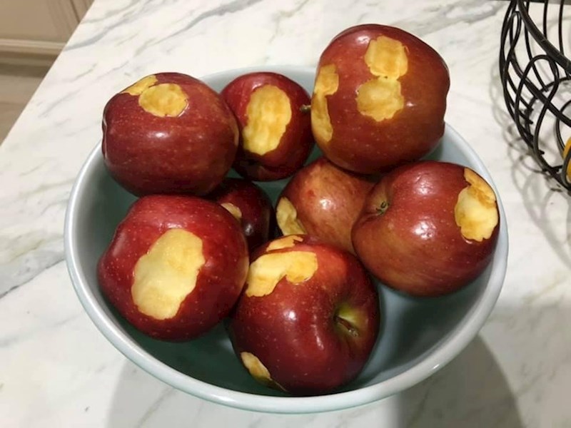 Kako znati da ste došli u kuću u kojoj živi trogodišnjak? Evo kako!