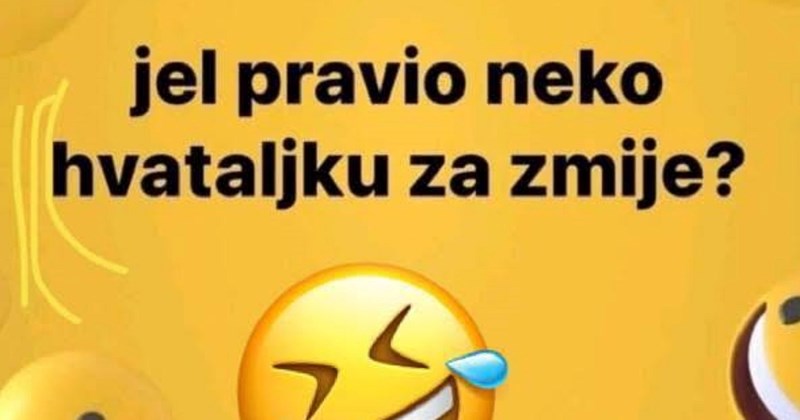 Na Fejsu je tražio pomoć oko hvataljki za zmije, jedan odgovor obišao je regiju brzinom munje