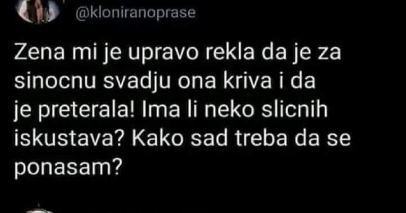 Pobijedio je u raspravi sa ženom i nije znao kako se dalje ponašati. Onda je dobio urnebesne upute