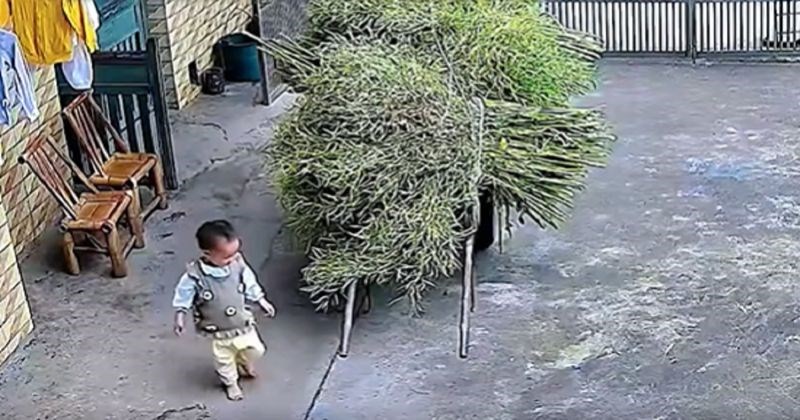 Klinac je htio pomoći roditeljima u čišćenju dvorišta, stotine tisuća lajkalo je urnebesan ishod