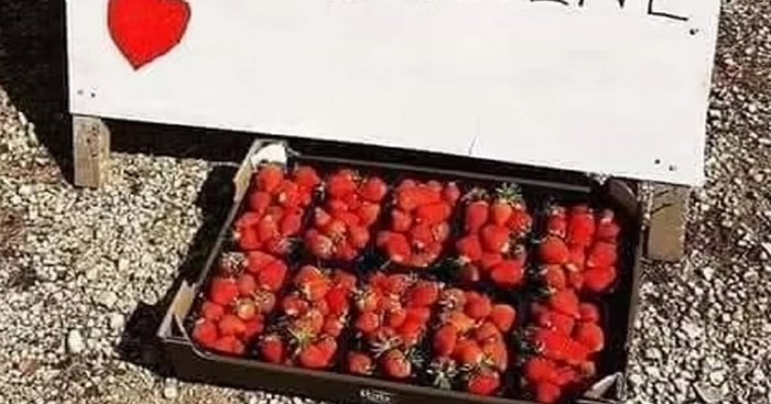 Prodavač jagoda postao je hit u regiji zbog natpisa kojim privlači kupce, urnebesan je!