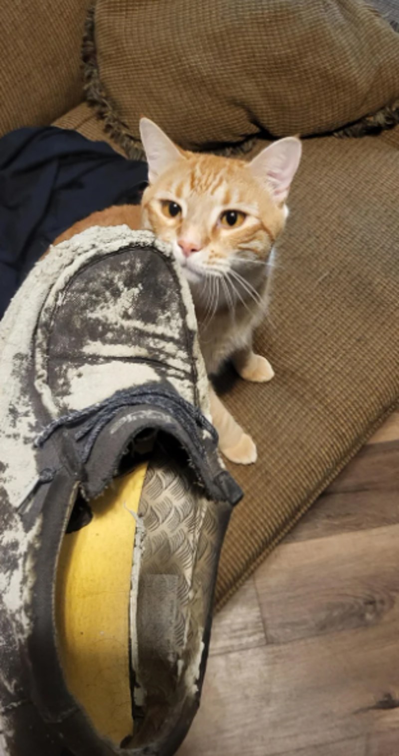 Vlasnik stana u kojem živim mi nije javio da će se nalijevati taraca na ulazu. Za dobro jutro sam zgazio u svježi beton