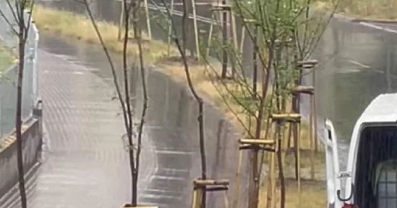 Bizaran prizor iz susjedstva nasmijao je regiju, prasnut ćete u smijeh kada vidite što radi ovaj tip