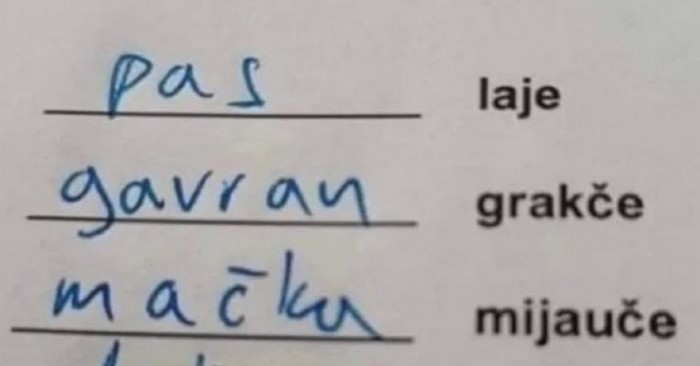 Djeca su učila o glasanju životinja, jedan odgovor na zadatak u radnoj bilježnici nasmijao je tisuće