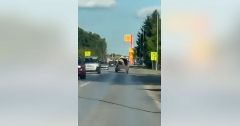 Bizarna prometna nezgoda šokirala je vozače u BIH, ovo se zaista ne viđa svaki dan