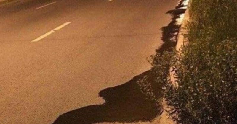 Biser slavenskog inženjerstva fotkan u Srbiji nasmijao je ekipu na IG-u, morate vidjeti