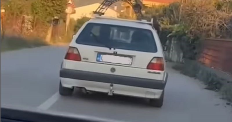 Neobičan prizor iz Crne Gore šera se regijom, morate vidjeti šta tip prevozi na krovu Golfa