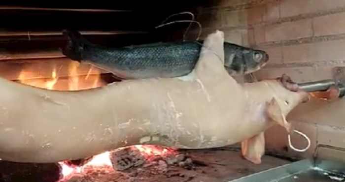 Video iz Imotskog hit je na Fejsu: Tip zajedno priprema svinju i ribu, a razlog je urnebesan