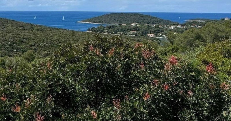 Tip prodaje parcelu uz more, ekipu s Fejsa do suza je nasmijala urnebesna greška na natpisu