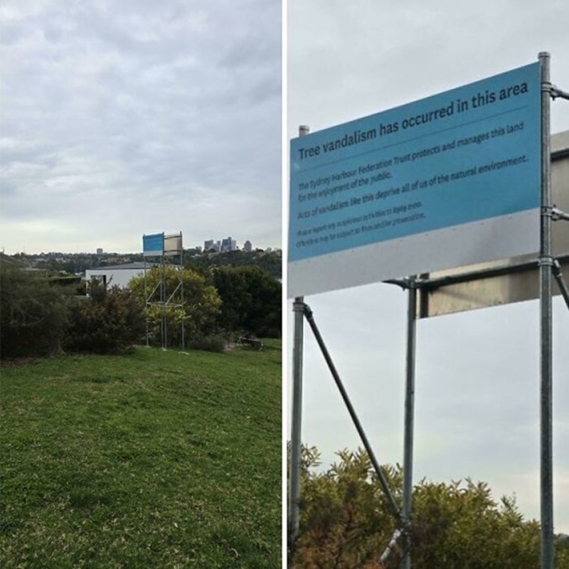 Netko je posjekao visoko stablo kako bi dobio bolji pogled na luku Sydney. Udruge za zaštitu prirode odgovorile su tako što su postavile visoki znak na mjestu gdje je nekoć bilo stablo da blokira pogled