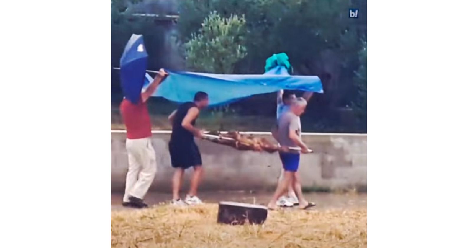 Kiša je skoro uništila feštu u Bibinju, ali ovi majstori spasili su pečenje i nasmijali tisuće