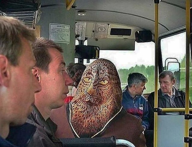 Jezivi suputnik