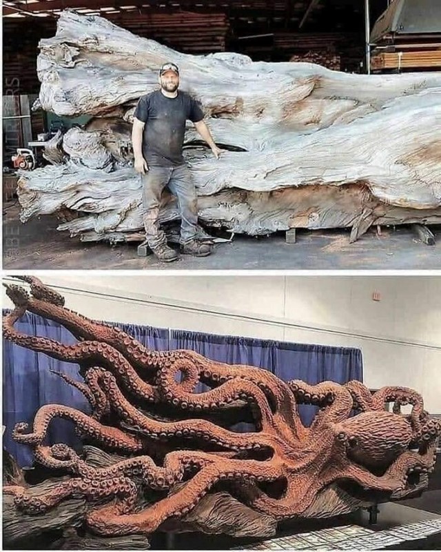 Stručnjak za rezanje motornom pilom Jeffrey Michael Samudosky upotrijebio je dio mrtve sekvoje za izradu svoje nevjerojatne skulpture hobotnice. Wow!