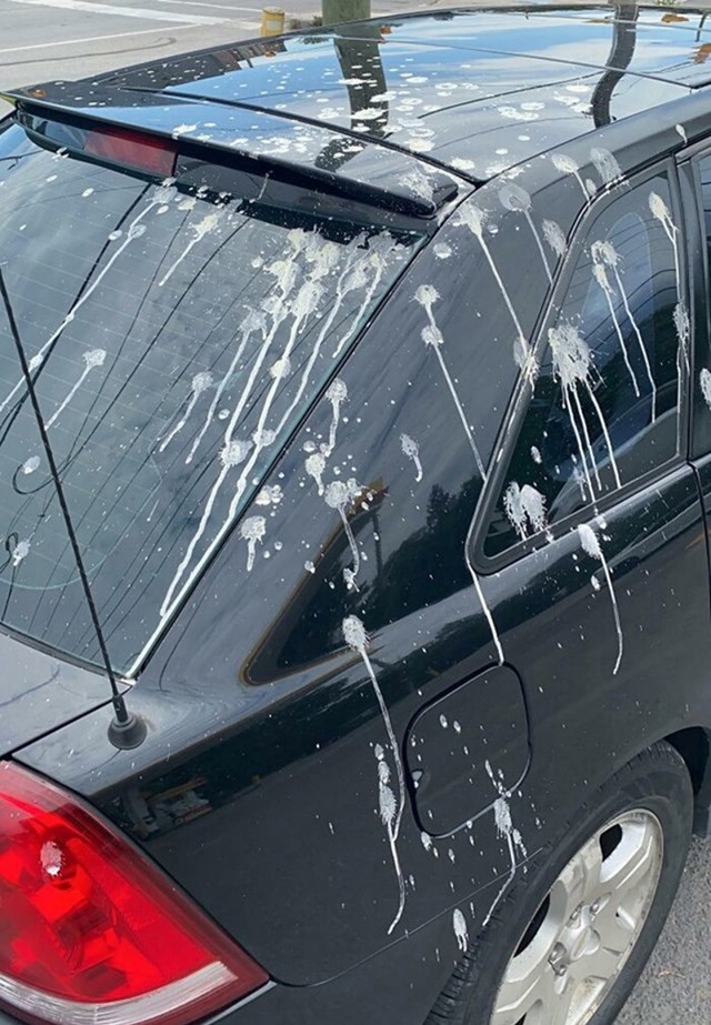Doslovno sam prije 30 minuta oprao auto