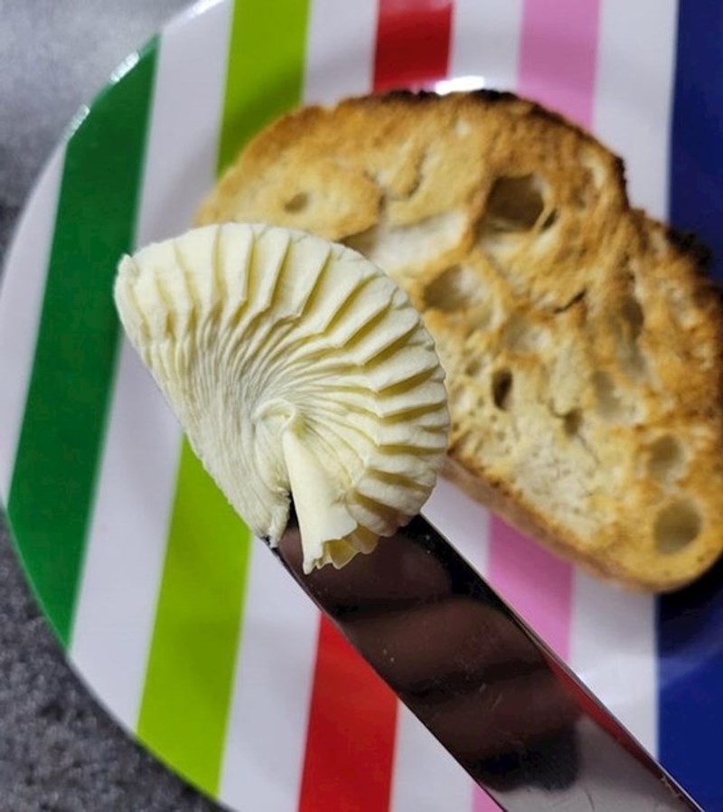 Nitko nikad neće uspiti ovo ponoviti