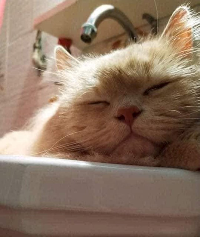 19.