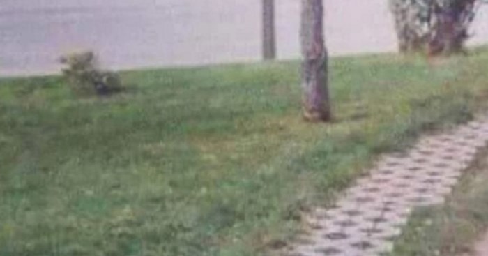 Fotka jedne šetnice iz Srbije danima kruži regijom, odmah će vam biti jasno zašto je hit
