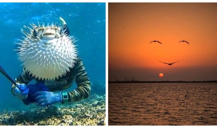 17 cool i komičnih fotki koje dokazuju koliko je tajming bitan za kvalitetnu fotografiju