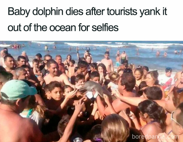 Ubili dupina zbog selfija