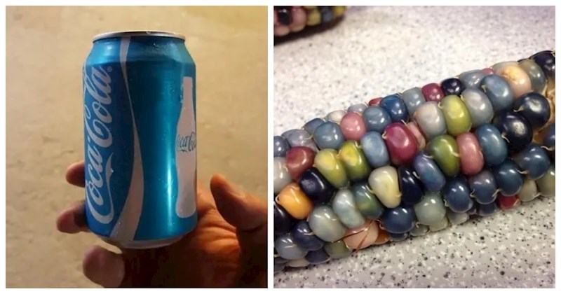 15 običnih predmeta u dosad neviđenim izdanjima zbog kojih izgledaju kao da su iz paralelnog svemira