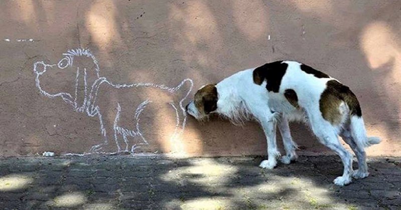 20 simpatičnih prizora koji nisu mogli biti uhvaćeni u boljem trenutku