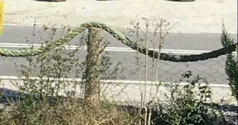 Neobično vozilo fotkano negdje u susjedstvu istovremeno će vas oduševiti i zbuniti, hit je