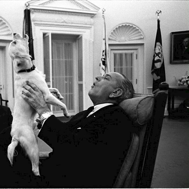Lyndon B. Johnson pjeva sa svojim psom Yukijem 1968.