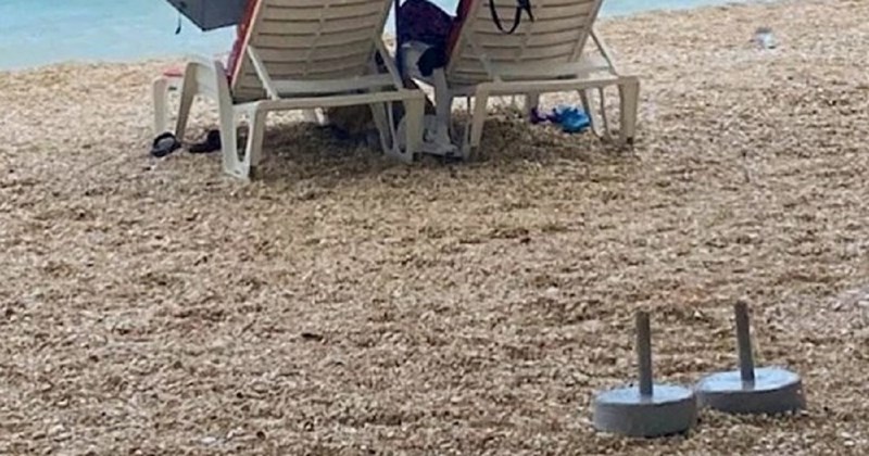 Prizor s plaže u Baškoj Vodi nasmijao ekipu na Fejsu, odmah će vam biti jasno zašto