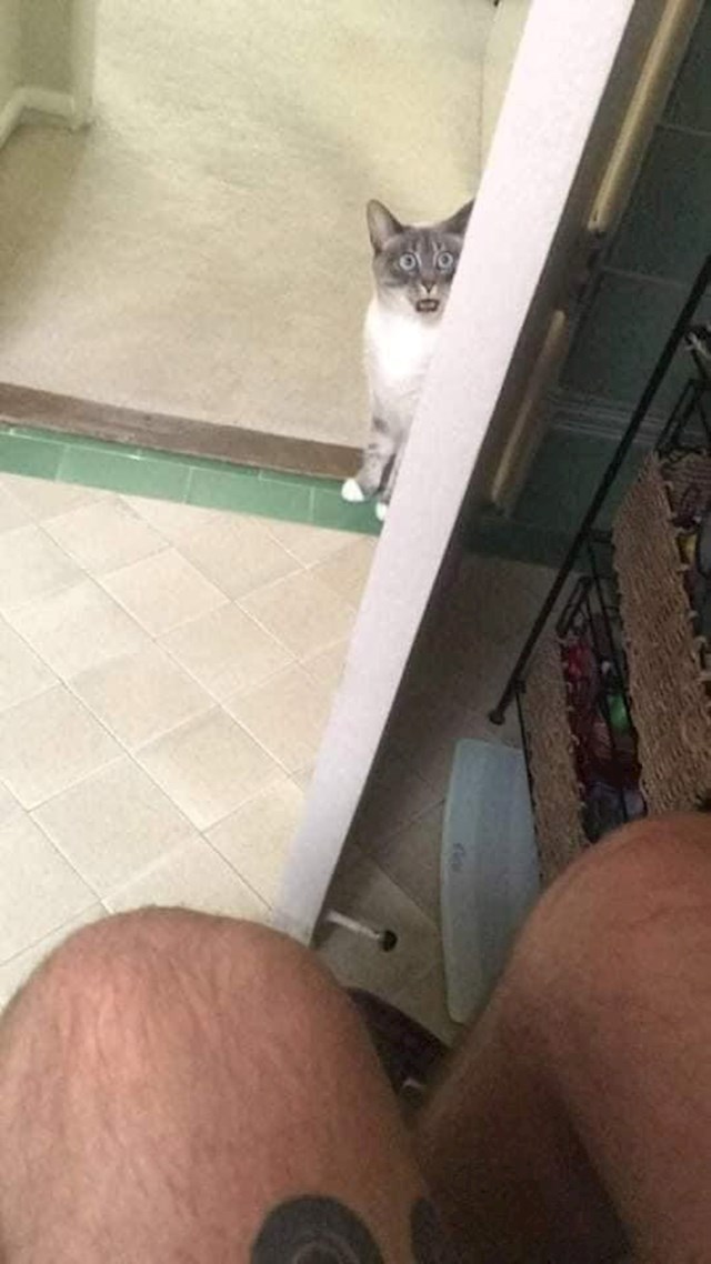 11.
