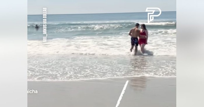 Par je snimao romantični video za uspomenu kad su u kadar uletjeli nenadani gosti. Video je predivan