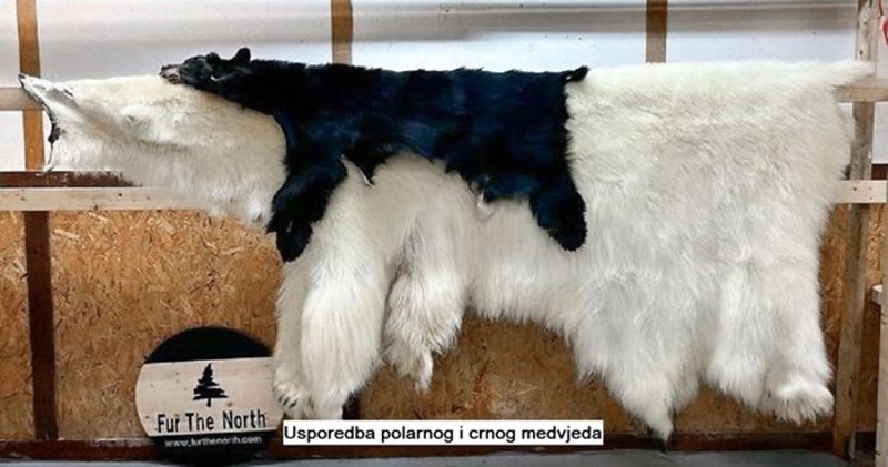 16 najzanimljivijih slika usporedbi koje bi vam mogle dati novi pogled na stvari