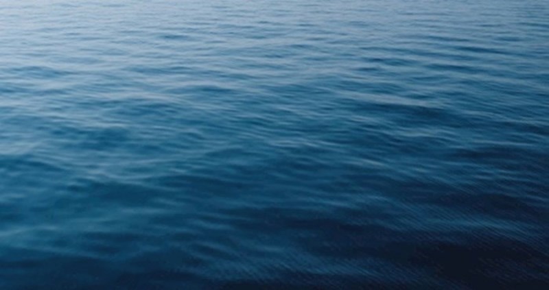 Djevojci je upao mobitel u ocean, ostat ćete potpuno zapanjeni kad vidite tko joj ga je vratio