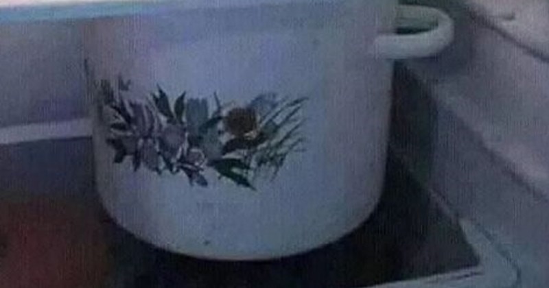 Zamolila je muža da spremi lonac s grahom u hladnjak, ovakav biser nije očekivala. Prizor je sve!