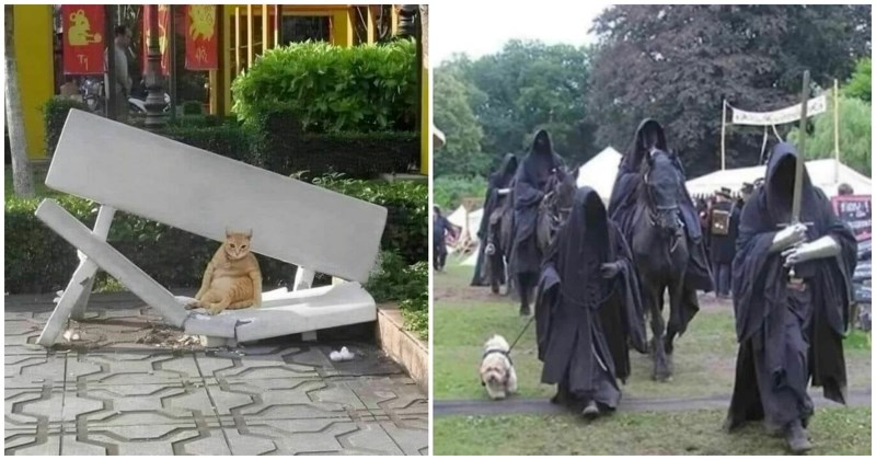 14 ljudi naletjelo je na teško opisive, ali urnebesne prizore i morali su ih podijeliti sa svima