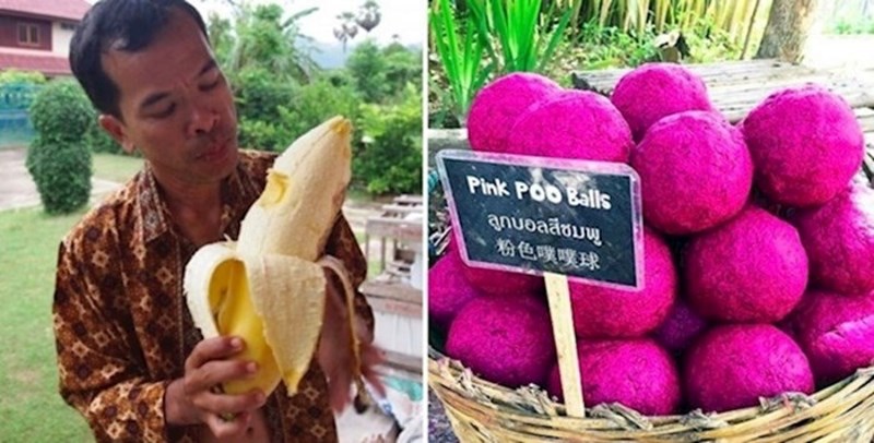 15 zanimljivih stvari koje možete vidjeti vjerojatno samo u Tajlandu