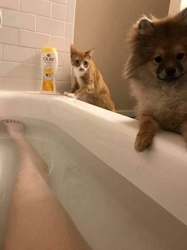 1.