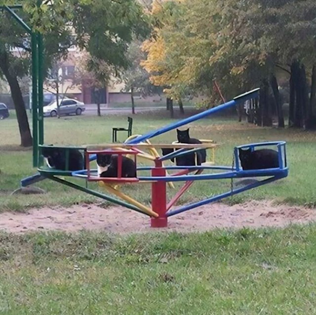 7.