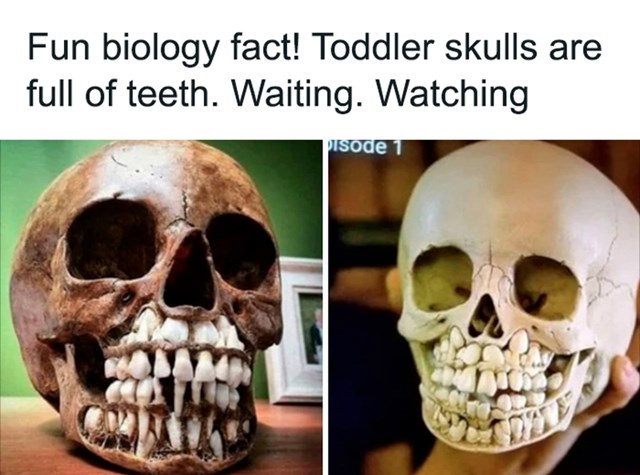 U lubanji djeteta nalaze se i mliječni i trajni zubi