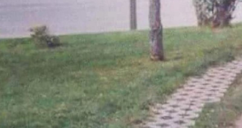 Fotka jedne šetnice iz Srbije danima kruži regijom, odmah će vam biti jasno zašto je hit