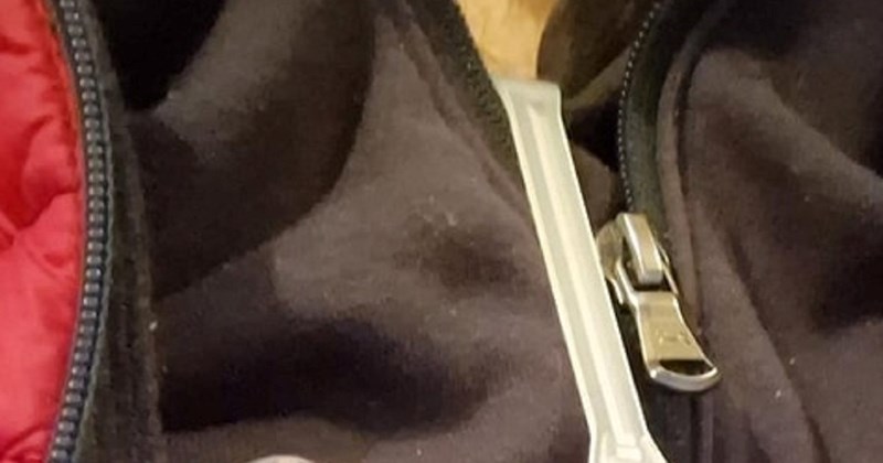 Bizaran modni dodatak fotkan na jednom Dalmatincu obišao je RH brzinom munje, morate vidjeti