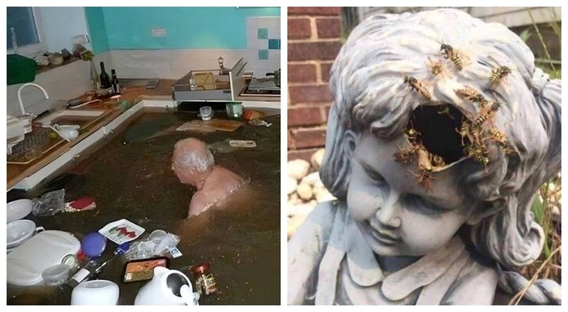 20 bizarnih prizora koje će vam dan učiniti 100% čudnijim