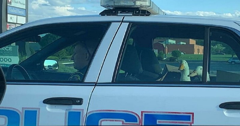 11 suludih prizora za koje bismo voljeli čuti pozadinsku priču