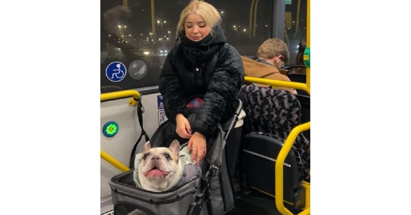 Zbog "brbljavog" psa ova vlasnica upada u najsmješnije i najneugodnije situacije, snimke su hit