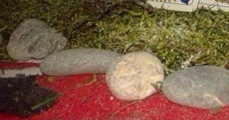 Detalj u jaslicama ovog Imoćanina apsolutni je hit na mrežama, ideja za tri kralja je genijalna