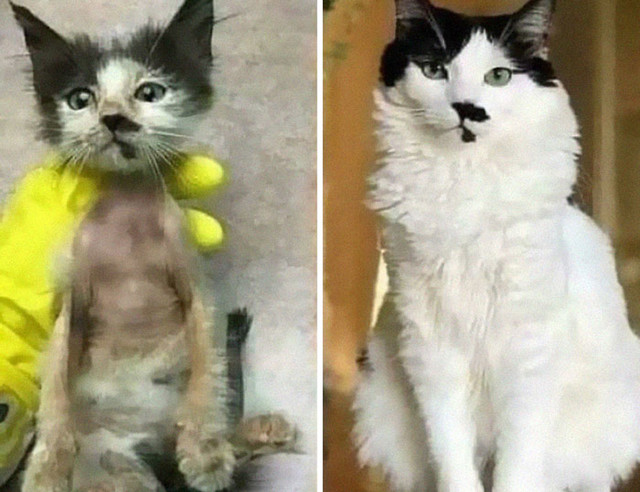 To je ono što spašavanje znači