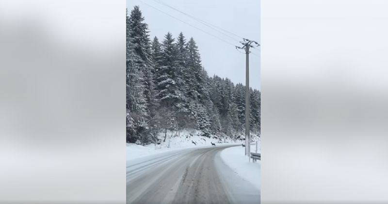 Predivni prizori zimske idile dolaze nam iz Bosne, pogledajte snimku koja je raznježila Fejs