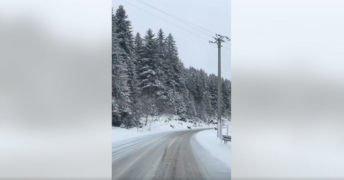 Predivni prizori zimske idile dolaze nam iz Bosne, pogledajte snimku koja je raznježila Fejs