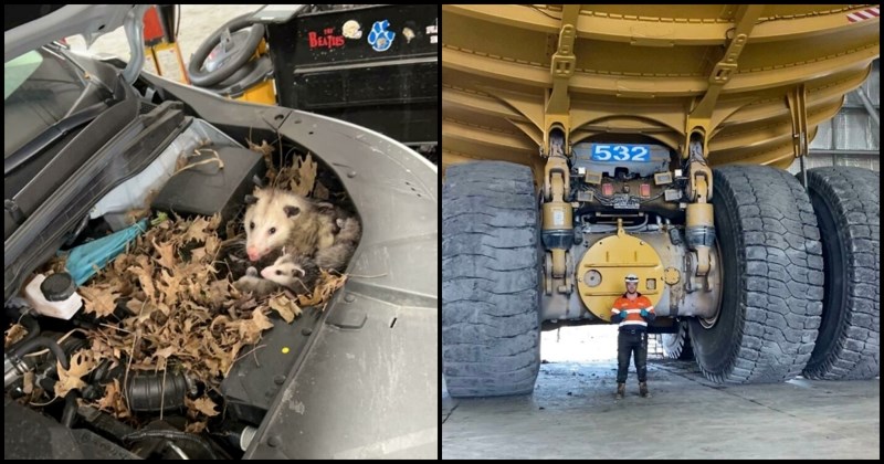 10 puta kada su automehaničari morali slikati ono s čime su imali posla kako bi im drugi povjerovali