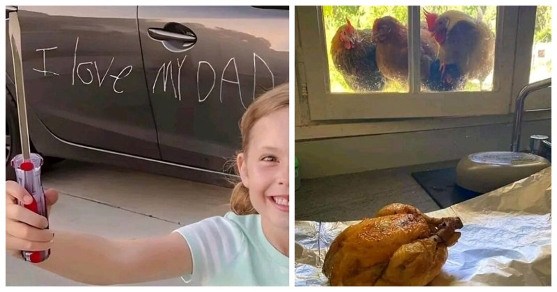 12 prekomičnih prizora koje su ovi ljudi ugledali i morali su ih pokazati svima