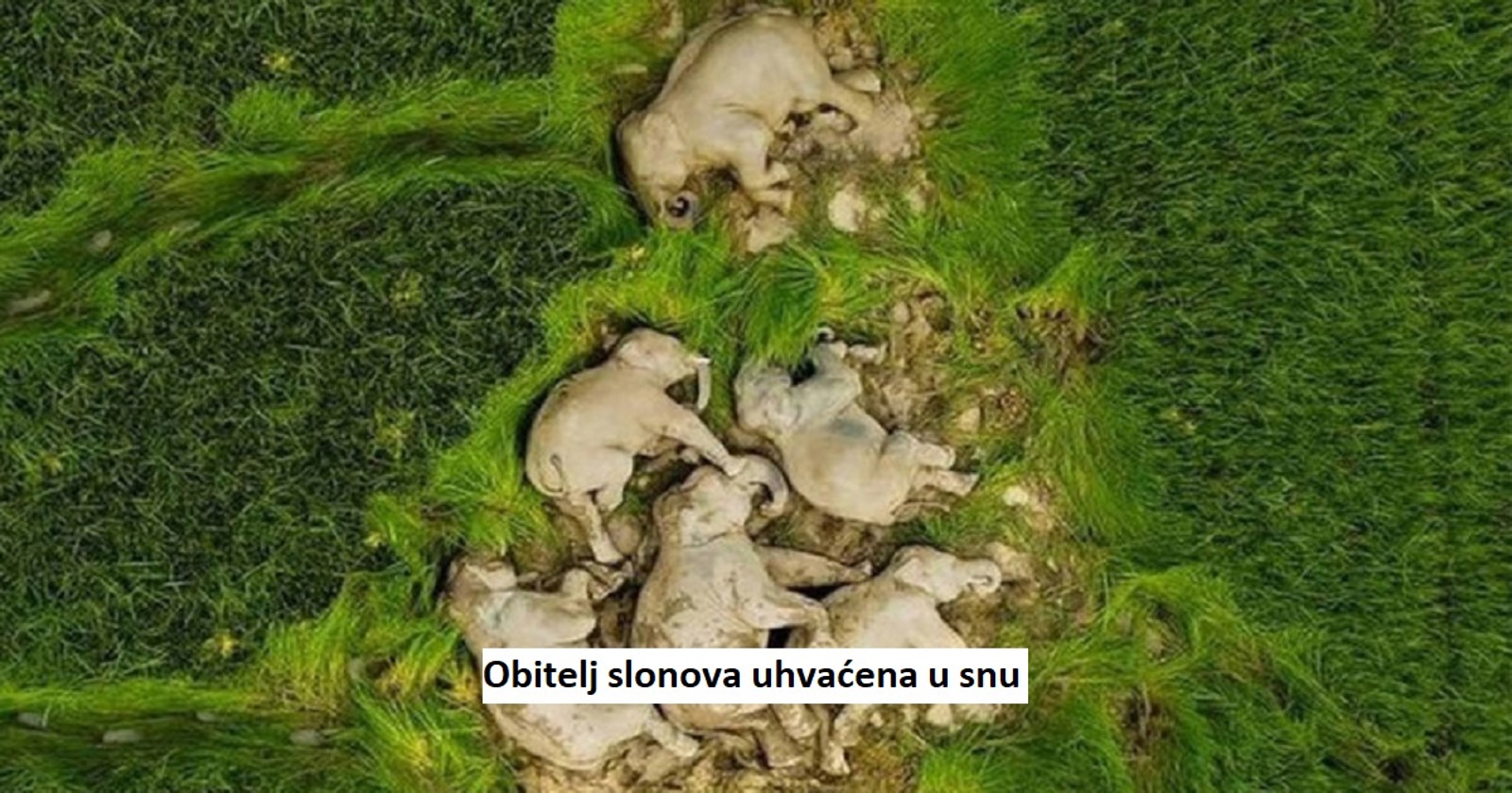 10 nevjerojatnih prizora koji će vas naučiti nešto potpuno novo